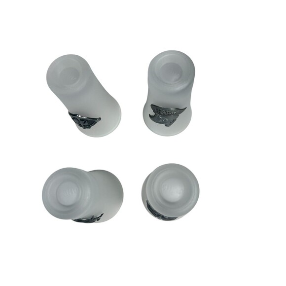 Set Of 4 Princess Cruise Line Frosted 2 Oz Shot Glasses With Metal Medallion - Picture 7 of 12